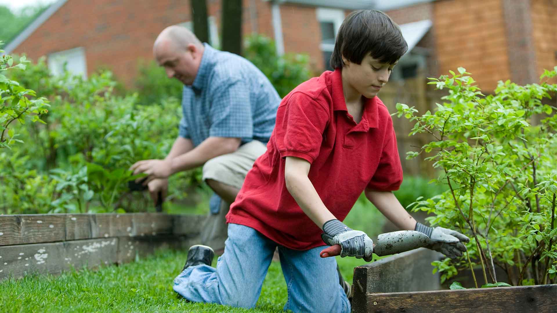 Privacy trees and screening