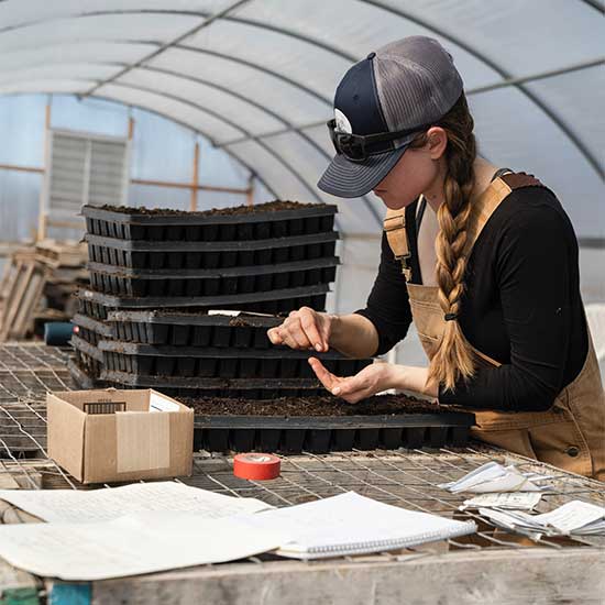 Privacy trees and screening in North Georgia